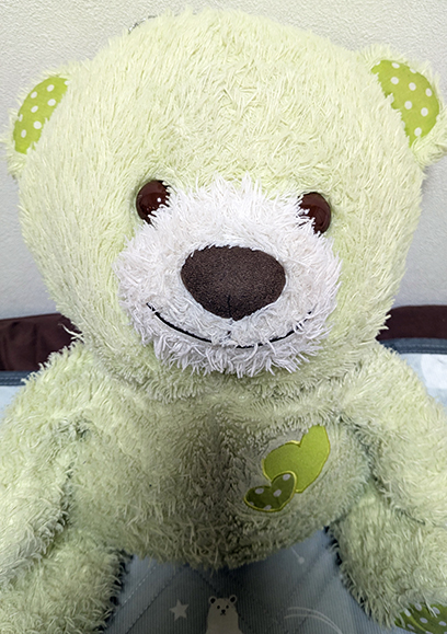 薄い黄緑色のくまこ