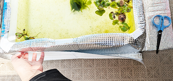 メダカ水槽の発泡スチロールケースにアルミシートを巻き付ける