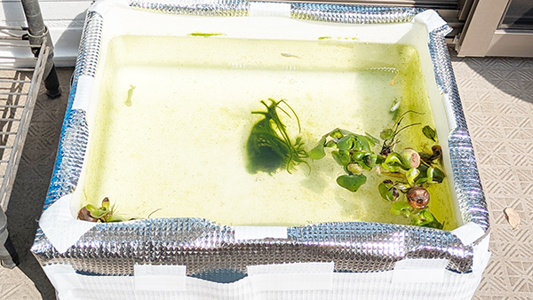 すべて巻き付けた状態