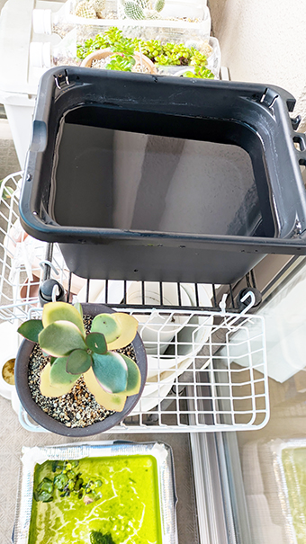 ベランダの棚の上の容器に水を張っている。