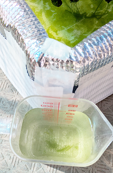 なんかコケもまじっているような……。