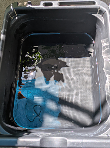 半分くらい容器の水が減りました。何気に水が必要。