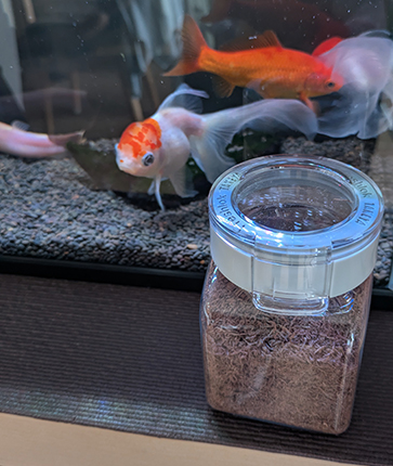 金魚水槽の前に容器を置いてみる。