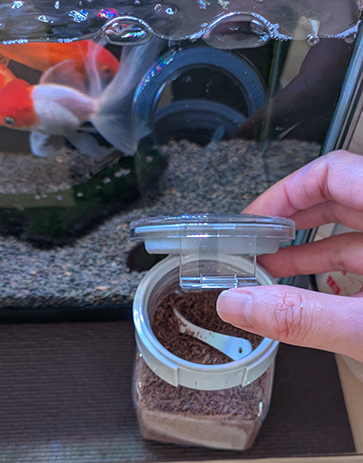 容器を開けてみた。