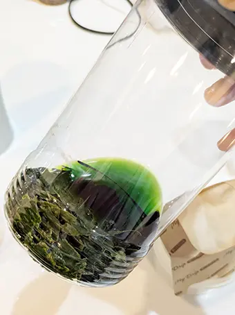 容器の中のエタノールに葉っぱの成分が出て緑色になっている様子。