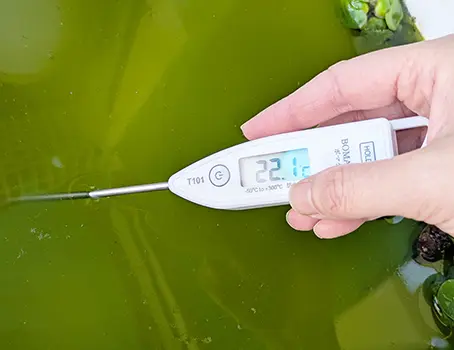 発泡スチロールケース内の水温（22.1度）