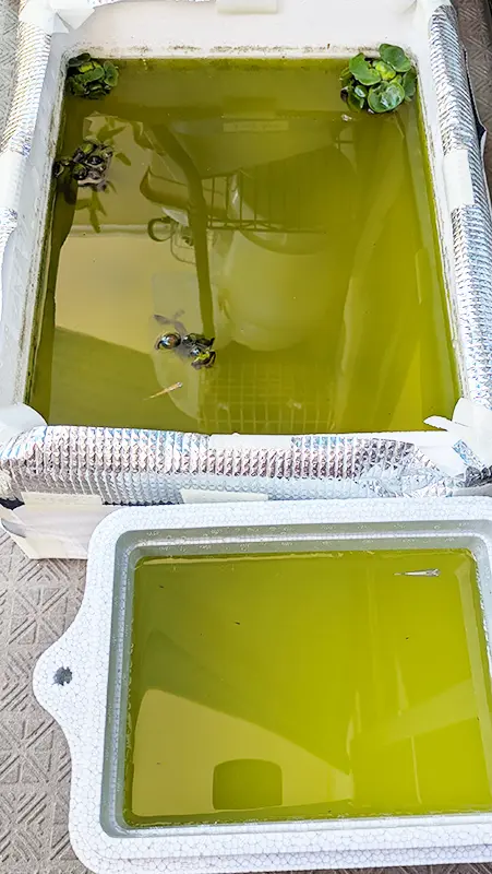 発泡スチロールケース2つ並んだ様子