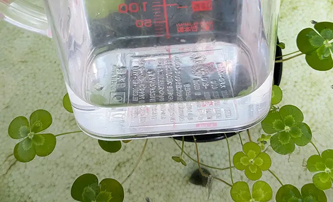 ♀水槽の水をすくってみると透明な様子