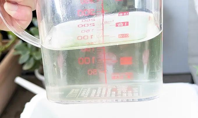 子メダカ♂水槽はもっと濃い