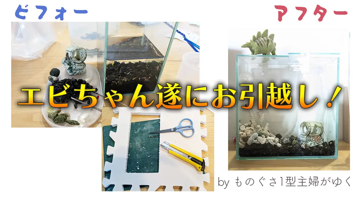 エビちゃん遂にお引越しと書かれたアイキャッチ画像