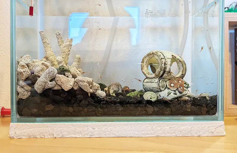 水槽のサイズに合わせてカットした白のジョイントマットを敷いた状態