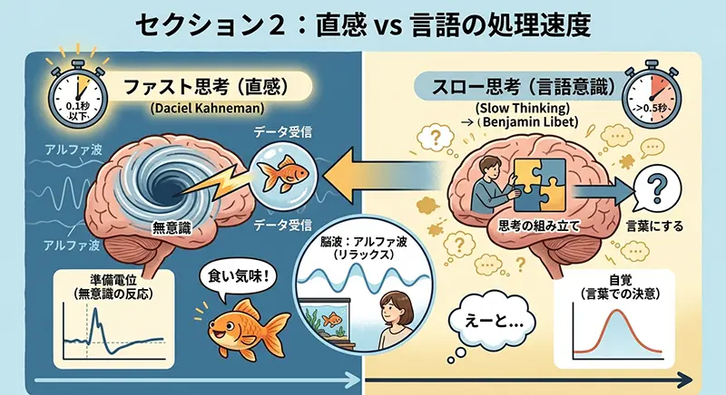 【セクション2解説】直感通信と人間の思考速度の差を科学的に図解：無意識は0.1秒以下でデータを受信する。