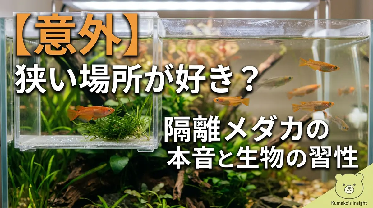 【意外】狭い場所が好き？ 隔離メダカの本音と生物の習性