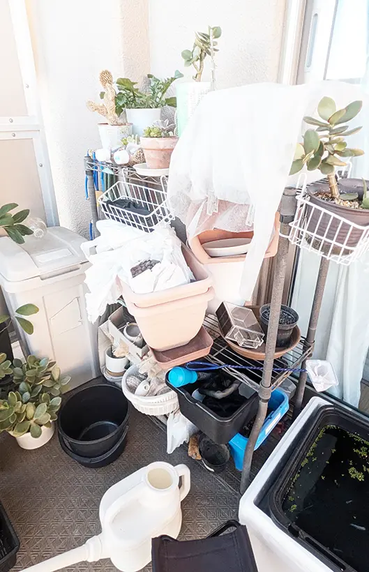 ベランダのラック周りと鉢植えや備品が置かれた様子